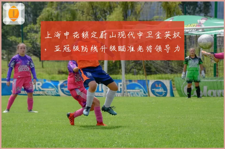 上海申花锁定蔚山现代中卫金英权，亚冠级防线升级瞄准老将领导力