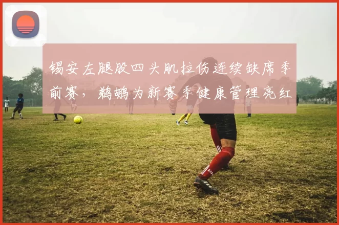 锡安左腿股四头肌拉伤连续缺席季前赛,鹈鹕为新赛季健康管理亮红灯