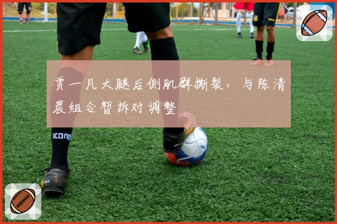 贾一凡大腿后侧肌群撕裂，与陈清晨组合暂拆对调整